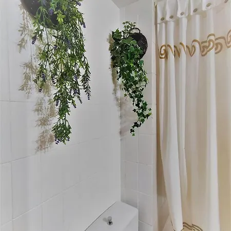 Apartamento Con Maravillosas Vistas Al Lado De La Estación Panticosa